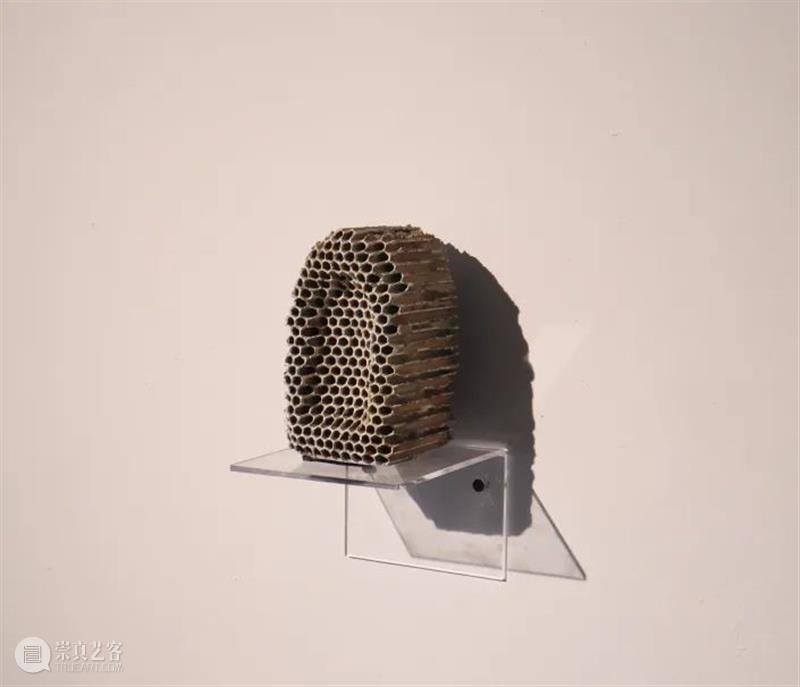 展览回顾 | 回响 ECHO 视频资讯 张嘉宁 ECHO 策展人 Curator 陆佳 Jia 艺术家 Artists 何艺雯 严许雨 张嘉宁 崇真艺客
